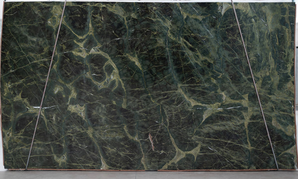 Botanic Green Quartzite Slabs - FS60862843 - 3200 x 1820 x 20 mm