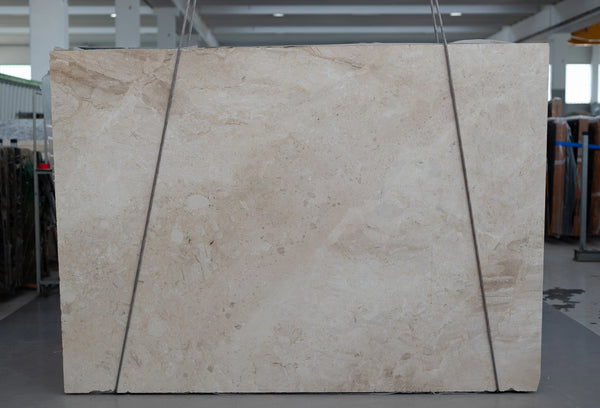 Breccia Sarda Marble Slabs - FS13543207 - 2400 x 1900 x 20 mm