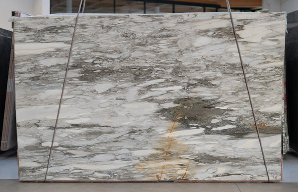 Calacatta Gold Marble Slabs - FS33390363 - 2550 x 1800 x 20 mm