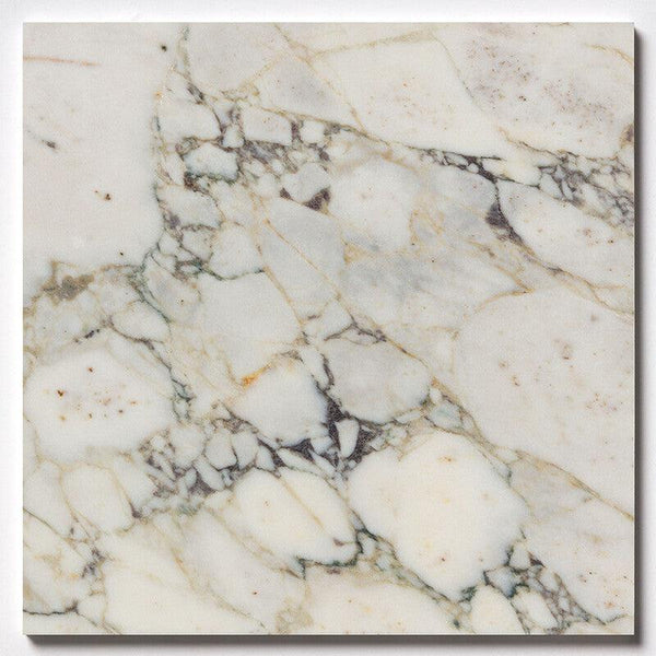 Calacatta Picasso T Marble Tiles - Honed