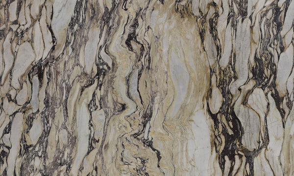 Calacatta Viola Marble Slabs - FS88437364 - 2880 x 1810 x 20 mm