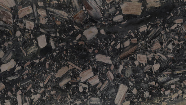 Carmen Black Quartzite Slabs - FS66919306 - 3020 x 1960 x 20 mm