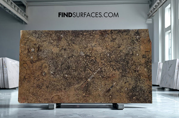 Fossil Brown Marble Slabs - FS77604700 - 2300 x 1300 x 20 mm