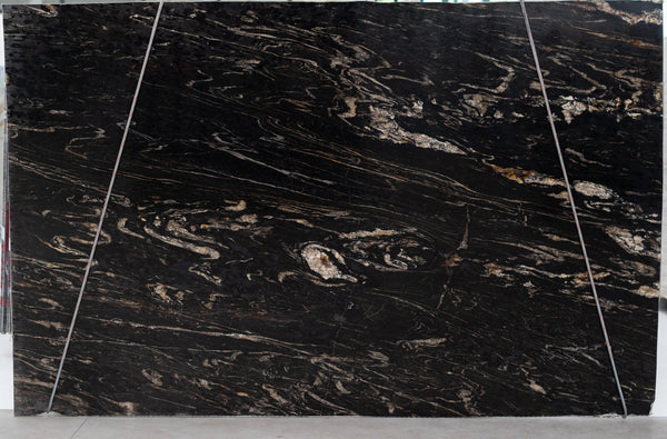 Fusion Black Quartzite Slabs - FS46786383 - 3150 x 2000 x 20 mm