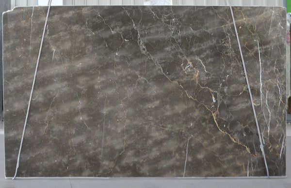 Grigio Collemandina Marble Slabs - FS74848299 - 2650 x 1450 x 20 mm