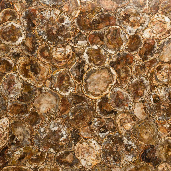 Petrified Wood Semiprecious Slabs - FS45028314 - 2770 x 1480 x 20 mm