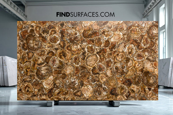 Petrified Wood Semiprecious Slabs - FS45028314 - 2770 x 1480 x 20 mm