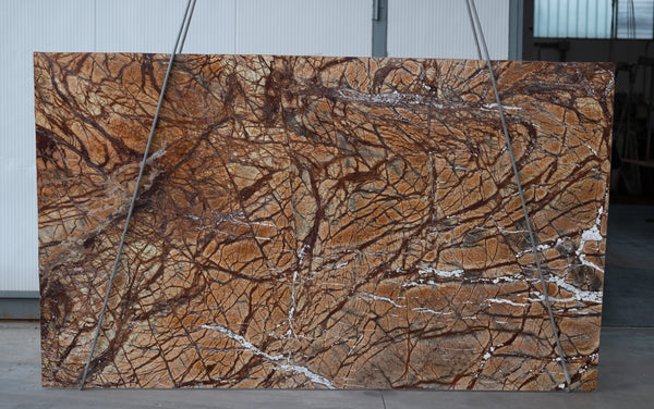 Rain Forest Brown Marble Slabs - FS54883882 - 2950 x 1770 x 20 mm