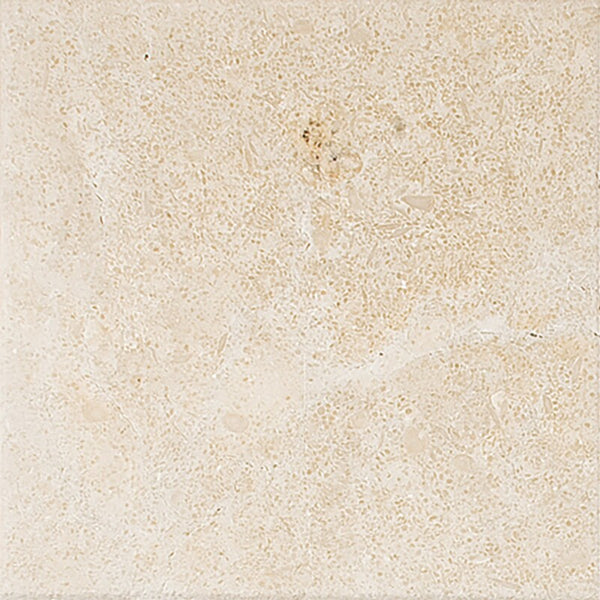 Seashell Limestone Tiles - Honed