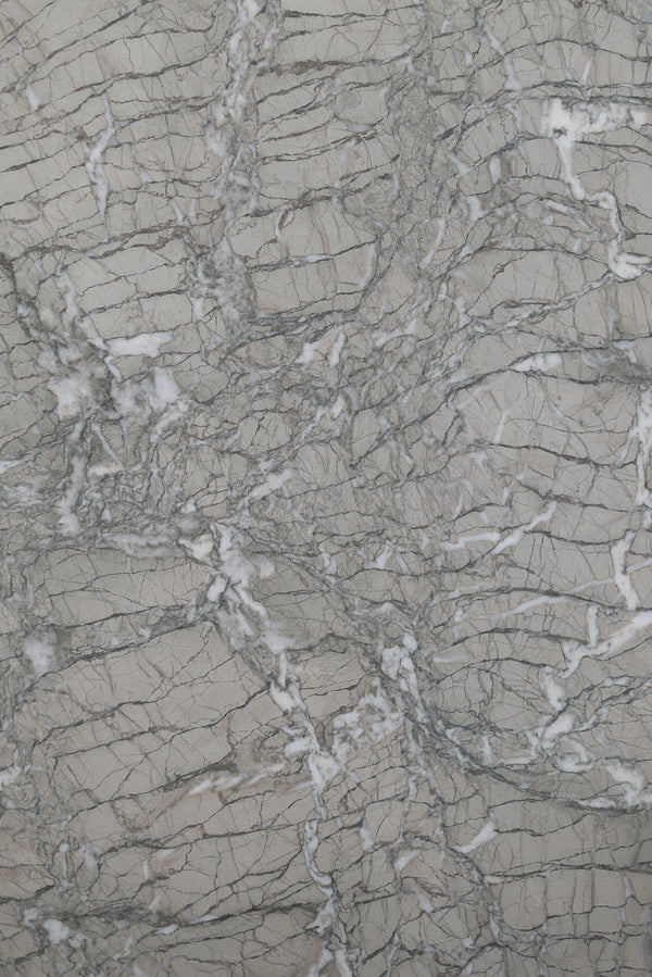 Verde Antigua Marble Slabs - FS27978847 - 2380 x 1600 x 20 mm