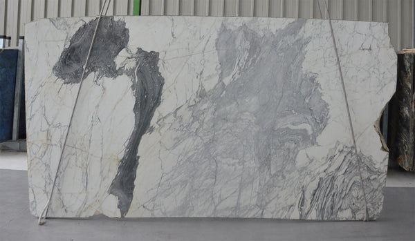 Arabescato Marble Slabs - FS67547223 - 2400 x 1500 x 20 mm