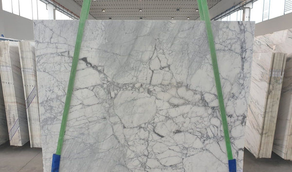 Arabescato Vagli Marble Slabs - FS51956098 - 2600 x 1930 x 20 mm