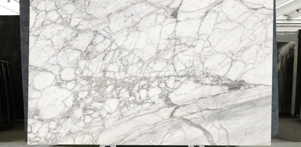 Arabescato Vagli Marble Slabs - FS16430393 - 3100 x 1950 x 20 mm