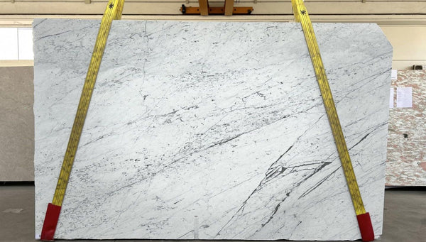 Bianco Gioia Marble Slabs - FS57497834 - 3170 x 1970 x 20 mm