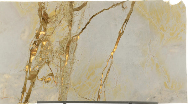 Bianco Hawana Marble Slabs - FS10626219 - 2900 x 1600 x 20 mm