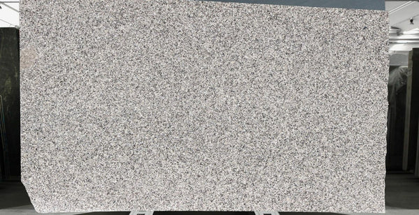 Bianco Sardo Granite Slabs - FS30156518 - 3300 x 1850 x 20 mm