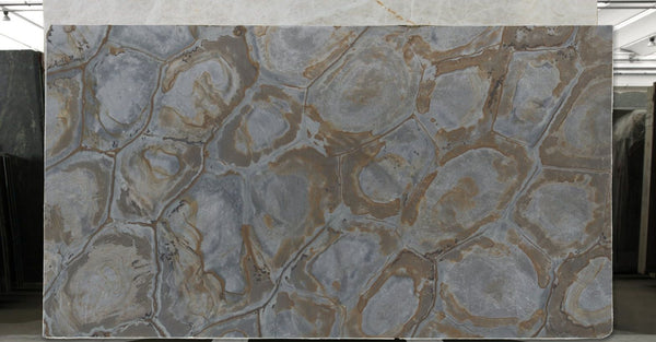 Brasilian Fossil Quartzite Slabs - FS51504297 - 3400 x 1850 x 20 mm