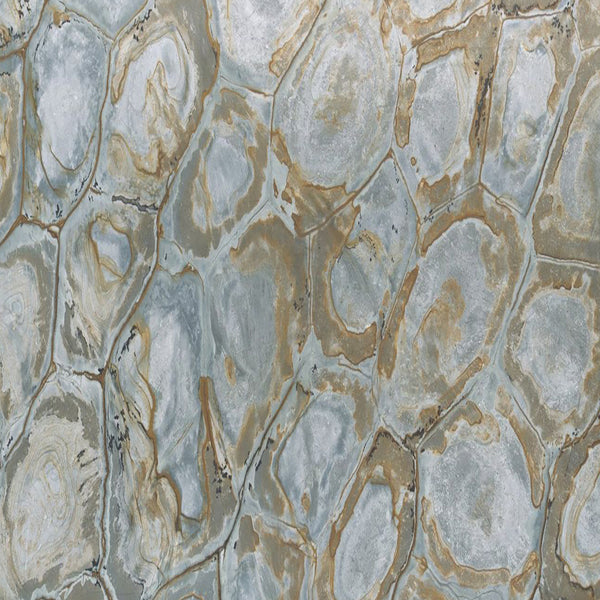 Brasilian Fossil Quartzite Slabs - FS51504297 - 3400 x 1850 x 20 mm