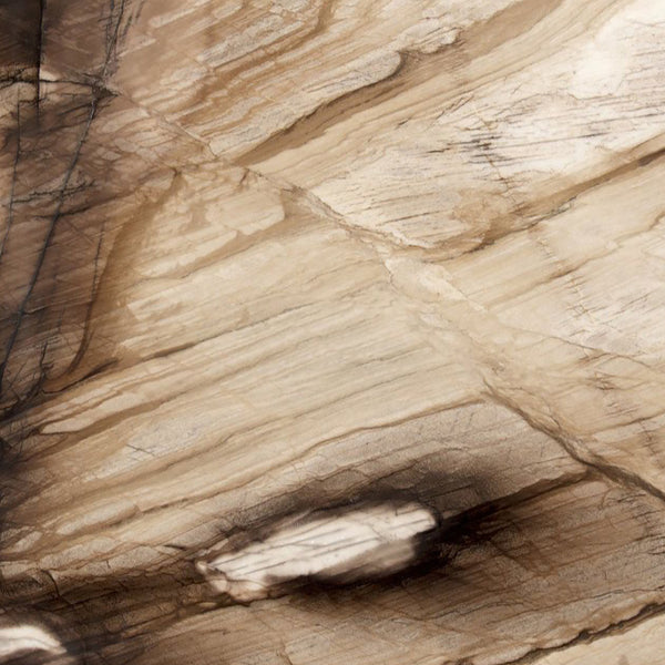 Ebano Quartzite Slabs - FS85336163 - 3190 x 1690 x 20 mm