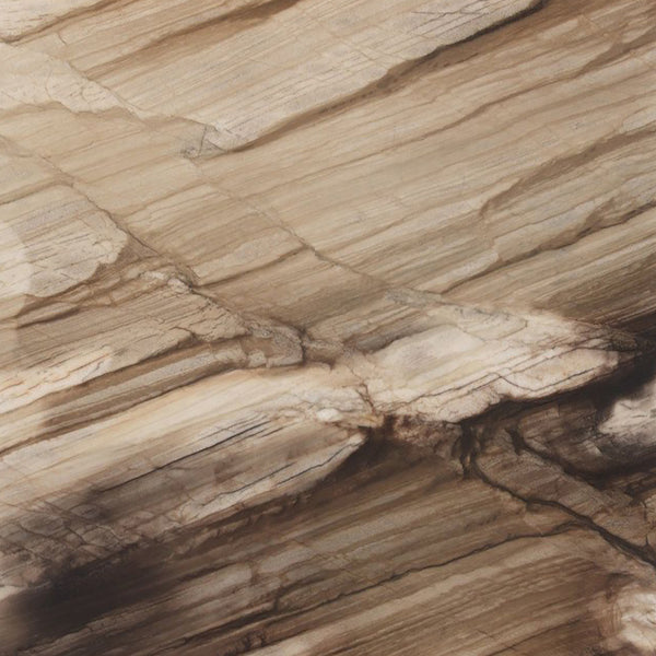 Ebano Quartzite Slabs - FS52794875 - 3350 x 2000 x 20 mm