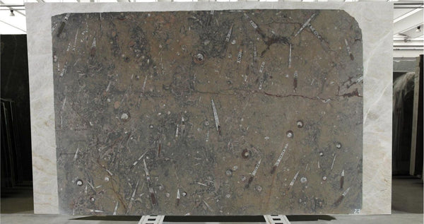 Fossil Brown Marble Slabs - FS67479066 - 2870 x 1850 x 12 mm