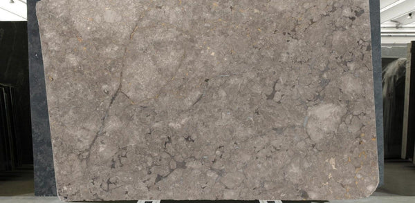 Grigio Billiemi Marble Slabs - FS44118078 - 3050 x 1920 x 30 mm