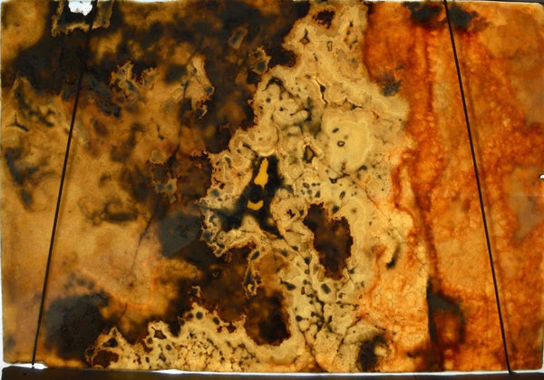 Honey Onyx Slabs - FS63529578 - 1500 x 1500 x 20 mm