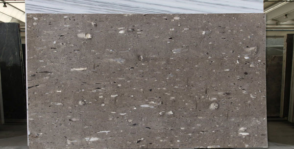 Moonrock Quartzite Slabs - FS29206331 - 3250 x 1850 x 20 mm