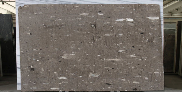 Moonrock Quartzite Slabs - FS34363666 - 1800 x 1140 x 30 mm