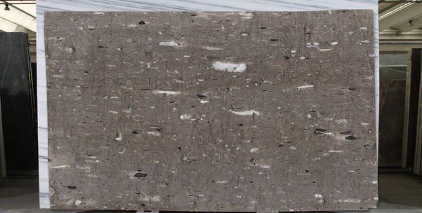 Moonrock Quartzite Slabs - FS39222034 - 3100 x 1900 x 30 mm