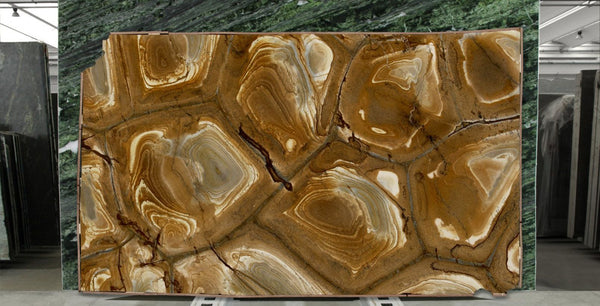 Palomino Quartzite Slabs - FS72334358 - 3000 x 1800 x 20 mm