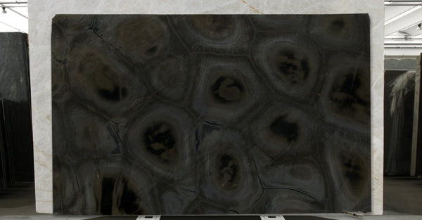 Turtle Quartzite Slabs - FS78462209 - 2950 x 1850 x 20 mm