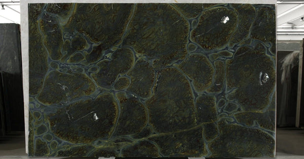 Vitoria Regia Granite Slabs - FS64596154 - 3210 x 1980 x 20 mm